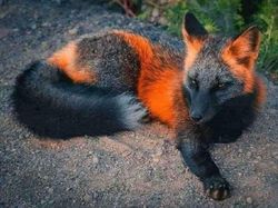 Hal Random Tapi Menarik yang Dibagikan Orang di Internet