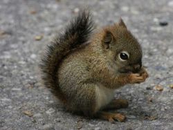 Hal Random Tapi Menarik yang Dibagikan Orang di Internet