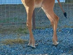 Hal Random Tapi Menarik yang Dibagikan Orang di Internet