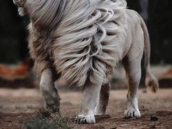 Hal Random Tapi Menarik yang Dibagikan Orang di Internet