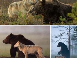 Hal Random Tapi Menarik yang Dibagikan Orang di Internet