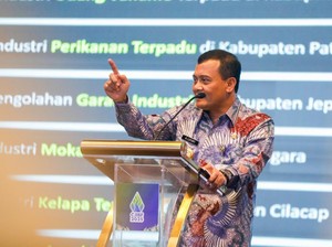 Ahmad Luthfi Janjikan Banyak Keuntungan Investasi Lewat CJIBF