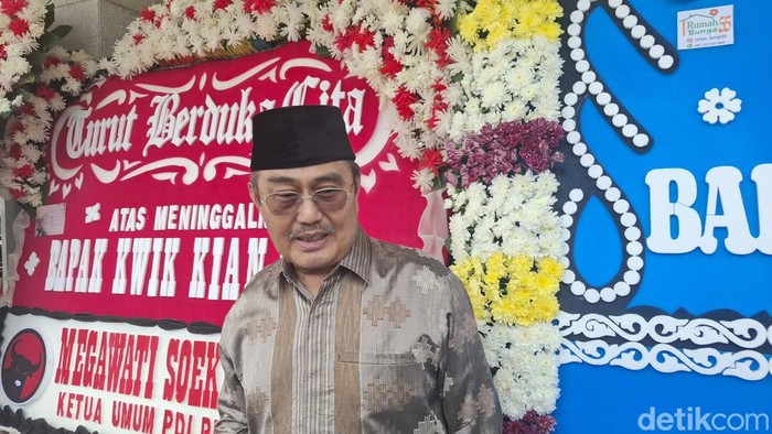 Jimly Asshiddiqie. (Brigitta/detikcom)