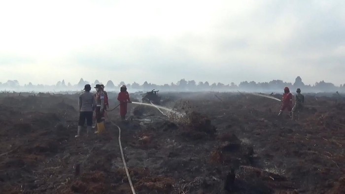 Karhutla terjadi di Muaro Jambi