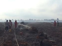 BMKG Ingatkan 70 Persen Wilayah Jambi Rawan Karhutla di Puncak Kemarau