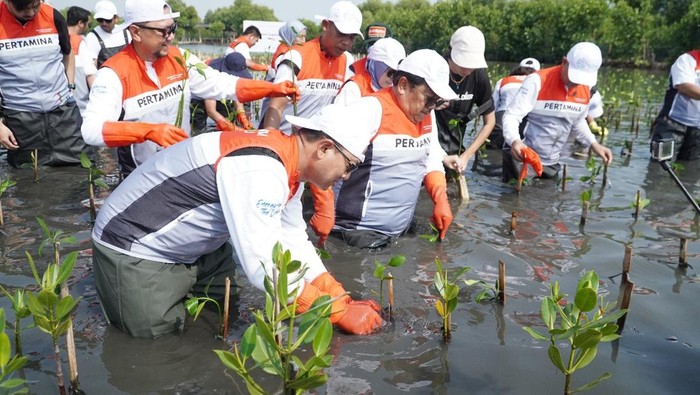 Pertamina