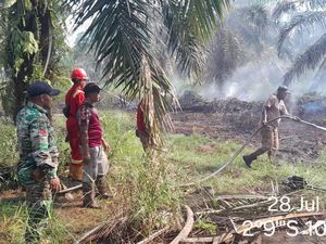 Lahan Gambut Kebun Sawit 70 Hektare di Muba Terbakar