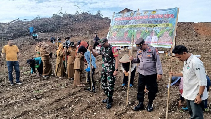Polres Kuansing melakukan penanaman jagung di 3 desa untuk mendukung program nasional ketahanan pangan.
