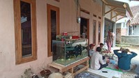 Posyandu tersebut dibangun pada tahun 2008 saat Heni menjabat sebagai Kepala Desa Cikujang pada periode pertama. Heni mengklaim tanah tersebut miliknya dan dibangun menjadi Posyandu menggunakan anggaran Program Nasional Pemberdayaan Masyarakat (PNPM).