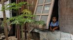 Potret Warga Kampung Bayam Menanti Rumah yang Dijanjikan