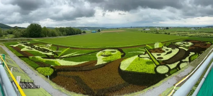 Sawah artsy di Hokkaido