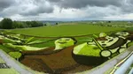 Bukan Hijau Polos, 8 Potret Sawah di Hokkaido Ini Punya Desain Artsy
