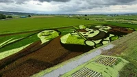 Area sawah layaknya kanvas yang siap dilukis. Namun bukan pakai cat, melainkan beragam tumbuhan padi berwarna hijau pucat hingga cokelat agak gelap. Foto: Sora News 24