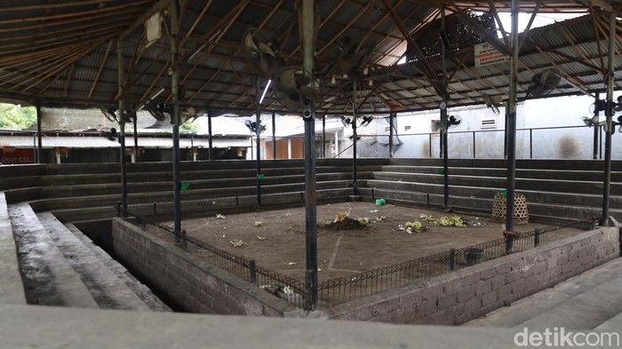 Suasana arena sabung ayam di Jalan Sokasati II, Kelurahan Kesiman, Denpasar Barat, Bali, Selasa (29/7/2025).