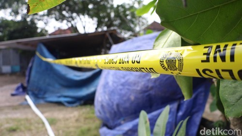 Suasana arena sabung ayam di Jalan Sokasati II, Kelurahan Kesiman, Denpasar Barat, Bali, Selasa (29/7/2025).