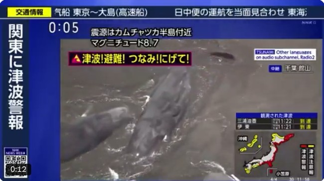 Dampak di Jepang hingga AS Imbas Tsunami Gempa Dahsyat Rusia