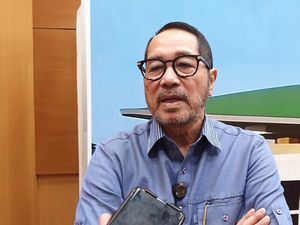 Legislator Heran Bendera One Piece Viral Dikibarkan Jelang 17-an: Apa Motivasinya?