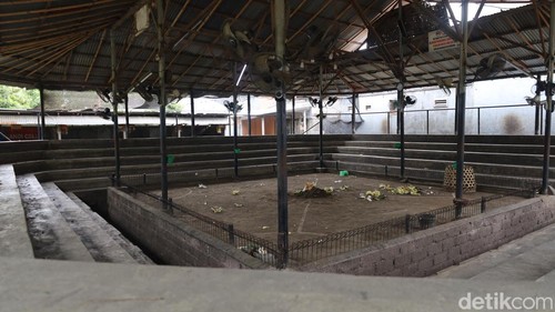 Arena tajen lokasi tewasnya seorang joki ayam di Banjar Abian Tubuh, Kesiman, Denpasar Timur, difoto Selasa (29/7/2025).