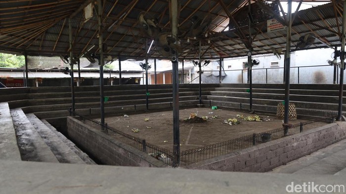 Arena tajen lokasi tewasnya seorang joki ayam di Banjar Abian Tubuh, Kesiman, Denpasar Timur, difoto Selasa (29/7/2025).