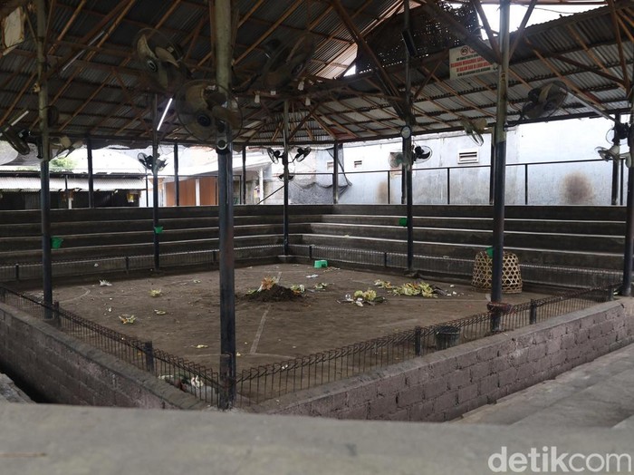 Arena tajen lokasi tewasnya seorang joki ayam di Banjar Abian Tubuh, Kesiman, Denpasar Timur, difoto Selasa (29/7/2025).