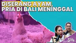 Ke mana Arah Budaya Ayam Tajen Pulau Dewata?