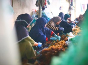 Pandangan Akademisi soal Ragam Masalah yang Kepung Perbatasan Kaltara