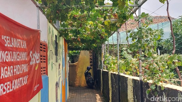 Kampung Anggur Cimahi