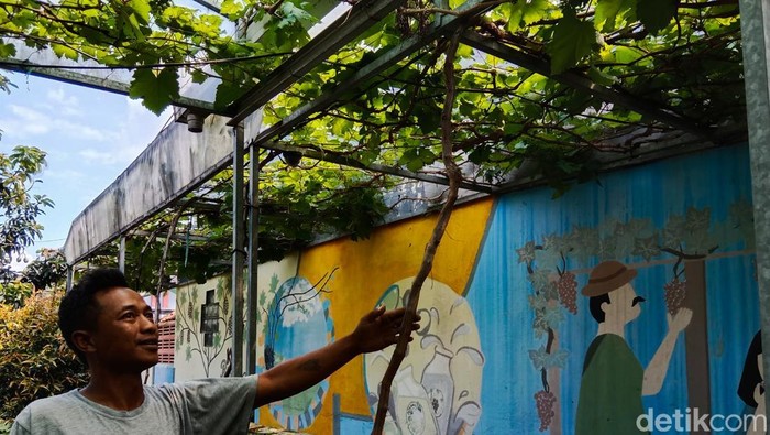 Kampung Anggur Cimahi