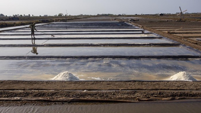 Kemarau Tiba, Petambak Garam Indramayu Kejar Produksi Foto udara petambak memanen garam di areal tambak desa Luwunggesik, Kecamatan Krangkeng, Indramayu, Jawa Barat, Rabu (30/7/2025). Memasuki musim kemarau, petambak setempat mulai menggarap lahan garam meski kondisi cuaca masih tidak menentu yang berdampak pada masa produksi garam jadi lebih pendek dibanding tahun lalu. ANTARA FOTO/Dedhez Anggara