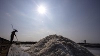 Indramayu dikenal sebagai salah satu sentra produksi garam rakyat di Indonesia. Setiap musim kemarau, ribuan ton garam dihasilkan dari tambak-tambak di pesisir utara Jawa Barat, termasuk di kawasan Krangkeng. ANTARA FOTO/Dedhez Anggara