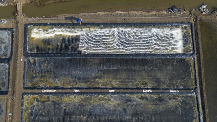 Kemarau Tiba, Petambak Garam Indramayu Kejar Produksi Foto udara petambak memanen garam di areal tambak desa Luwunggesik, Kecamatan Krangkeng, Indramayu, Jawa Barat, Rabu (30/7/2025). Memasuki musim kemarau, petambak setempat mulai menggarap lahan garam meski kondisi cuaca masih tidak menentu yang berdampak pada masa produksi garam jadi lebih pendek dibanding tahun lalu. ANTARA FOTO/Dedhez Anggara
