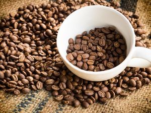 3 Perbedaan Kopi Arabika dan Robusta, Jangan Salah Pilih