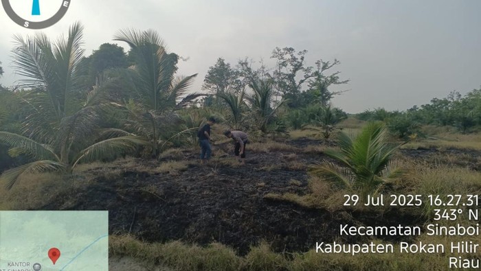 Lahan seluas setengah hektare di Sinaboi, Kabupaten Rokan Hilir, Riau, terbakar, Selasa (29/7/2025).