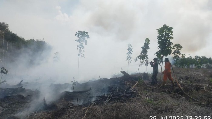 Petugas saat memadamkan kebakaran hutan dan lahan di Muara Enim