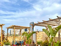 8 Manfaat Rooftop Garden, Bisa Bantu Kesehatan Mental hingga Kurangi Panas