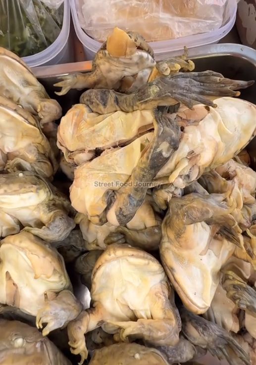 Viral! Menu Salad Kodok yang Bikin Netizen Bergidik Ngeri