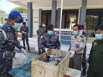 TNI AL Gagalkan Penyelundupan 135 Ikan Tuna Ilegal ke Timor Leste