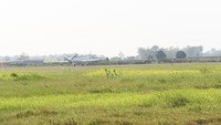 Elang Hitam dikembangkan melalui skema konsorsium dengan PTDI sebagai pimpinan proyek, bekerja sama dengan BRIN (gabungan BPPT dan LAPAN), Kementerian Pertahanan, TNI AU, PT Len Industri, dan ITB. Semua proses, mulai dari desain hingga pengujian, dilakukan secara mandiri di dalam negeri.
