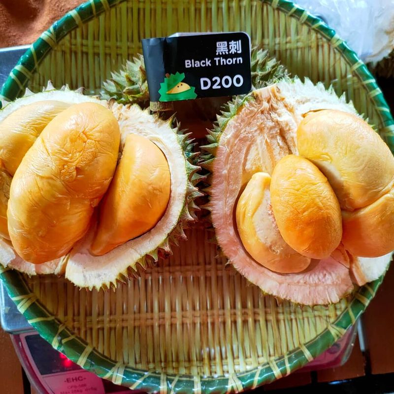 Petani durian asal Pulau Pinang, Malaysia bernama Leow Cheok Kiang menerima salah satu penghargaan tertinggi di negerinya setelah puluhan tahun menanam dan mengembangkan durian jenis Black Thorn atau Or Chee.