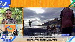 Video: Paus Raksasa Terdampar di Pantai Temkuna Timor timur Utara