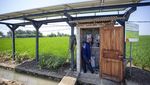 Energi Surya Jadi Andalan Irigasi Sawah Tadah Hujan di Indramayu