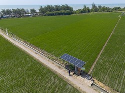 Video Dilema Petani Pakistan: Pompa Surya Murah, Tapi Air Tanah Menipis