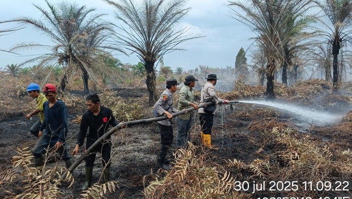 Kebakaran kebun sawit di Muba dilakukan pemadaman darat.