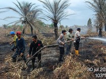 Pemadaman Lahan dan Kebun Sawit 70 Hektare di Muba Terbantu Hujan
