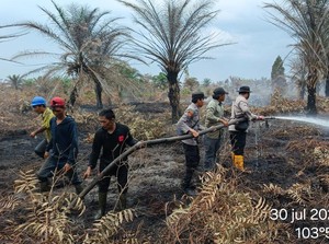 Pemadaman Lahan dan Kebun Sawit 70 Hektare di Muba Terbantu Hujan