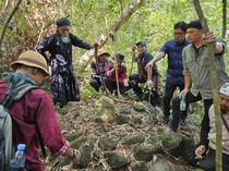 Terungkap Situs Megalitik Baru di Indonesia, Lokasinya Ada di Sini!