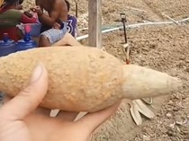 Warga Enrekang Temukan Mortir di Kebun Bawang Diduga Peninggalan Perang Dunia