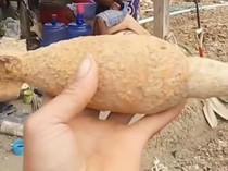 Penampakan Mortir yang Ditemukan Petani Enrekang di Ladang Bawang