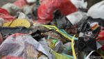 Peringatan Pedas untuk Pembuang Sampah di Tangsel