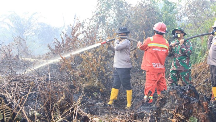 Polisi-TNI-BPBD hingga Damkar bergotong royong padamkan karhutla di Indragiri Hilir, Riau, Kamis (31/7/2025).